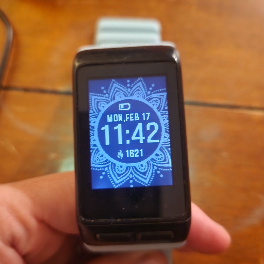 Garmin vivoactive HR